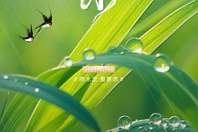 【雨水】小楼一夜听春雨