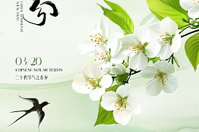 【春分】桃李初绽，纸鸢逐云