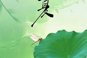 【立夏】万物初长成.新绿满人间
