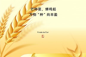 【芒种】麦浪翻涌丰收意 