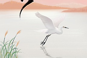 【白露】白露惊秋赠清凉