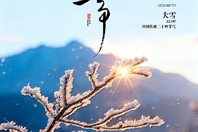 【大雪】雪色封藏万物白