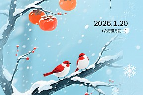 【大寒】冬韵正浓 春信已近