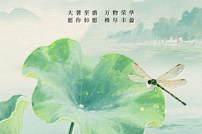 【大暑】大暑至盛 万物荣华