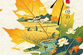 【处暑】禾田收夏色 山野起秋色
