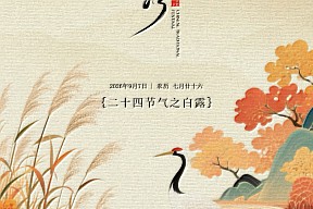 【白露】蒹葭苍苍 白露为霜